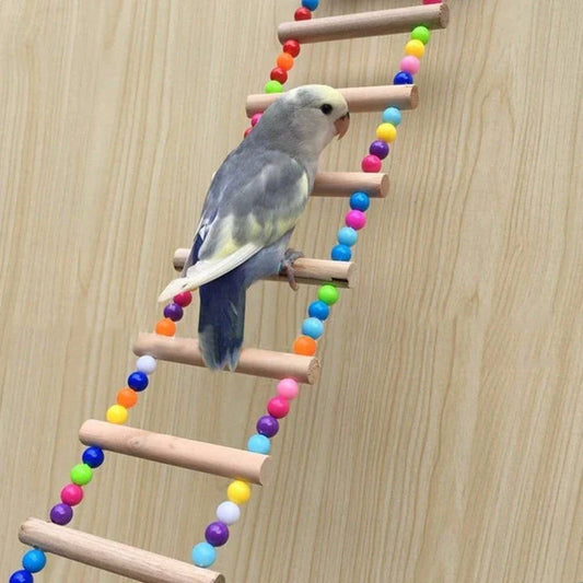 Sturdy wooden rainbow ladder with two hanging hooks, designed as a colourful climbing toy for pet birds