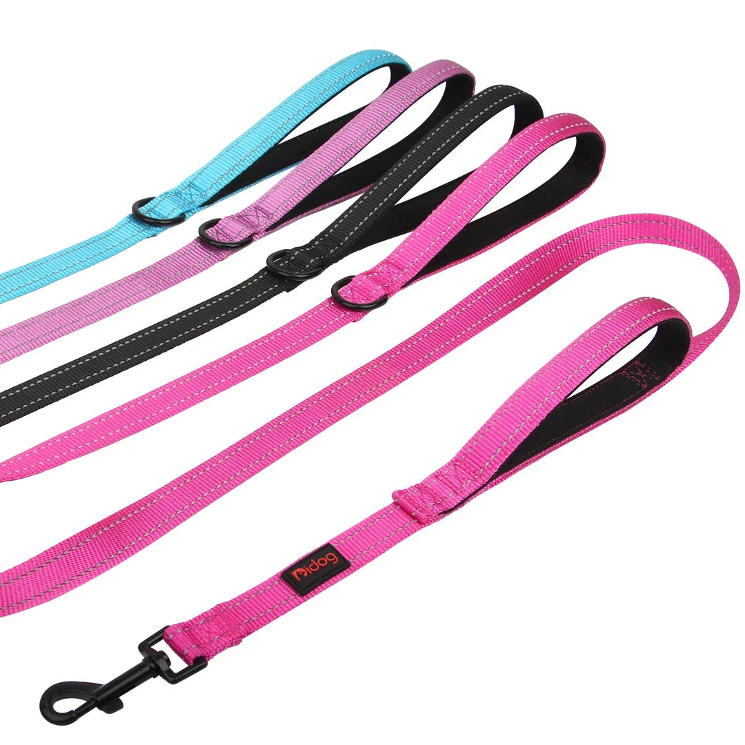 Premium 5ft Dual-Handle Reflective Nylon Dog Leash with durable nylon construction, padded handles, and reflective stitching for enhanced visibility
