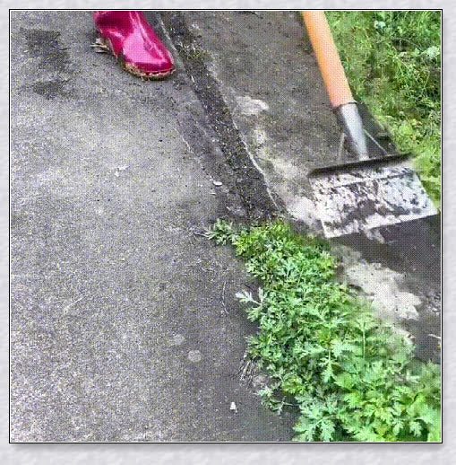 Premium stainless steel multifunctional cleaning shovel with adjustable ergonomic handle for efficient weed removal and versatile cleaning tasks