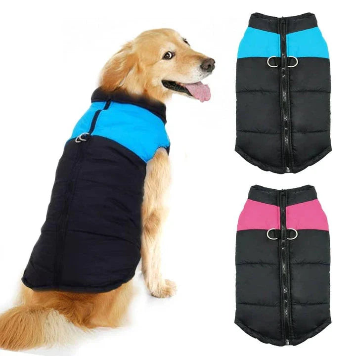 Premium waterproof dog vest with zippered closure, designed to keep your canine companion warm and dry during British autumn and winter adventures.